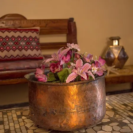 Venezian Castle House Apartment
